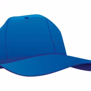 Blue hat